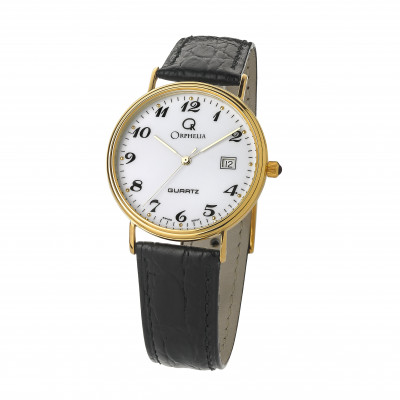 Analogue Men's Watch MON-7081/2