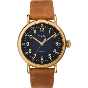 Timex® Analogue 'The Standard Collection' Men's Watch TW2T20000