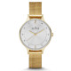 Skagen® Analogue 'Anita' Women's Watch SKW2150