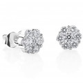 'Norvina' Women's Whitegold 18C Stud Earrings - Silver OD-5328